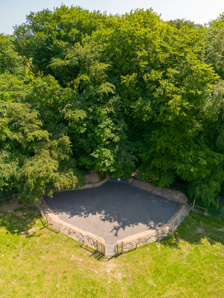 2246 562c947fc54f41018687b94412139329 1 768x1024