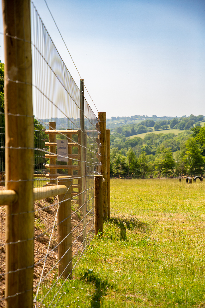 2246 6d3422085a68e15d8373a2c964024849 1