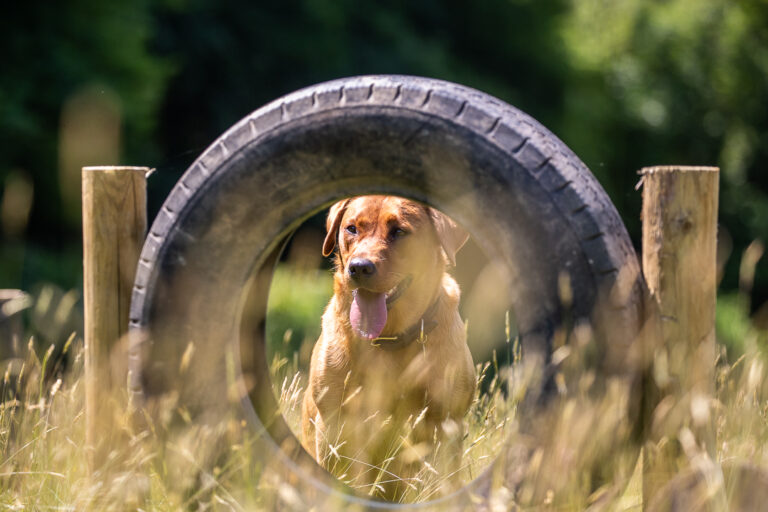 2246 c6bca78a3b289e0051038a170f0202f8 1 768x512