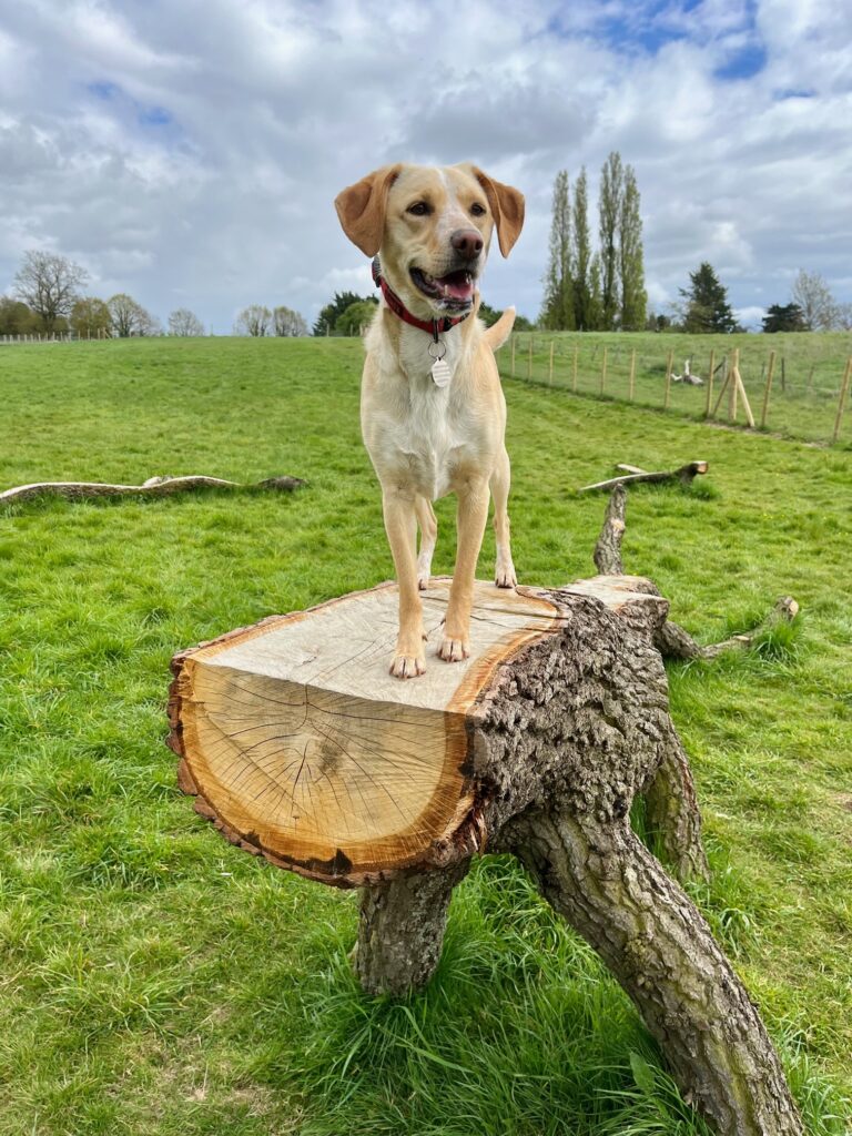 2248 7efc71198d8aa3e08994ad2acf7fe71f 1 768x1024