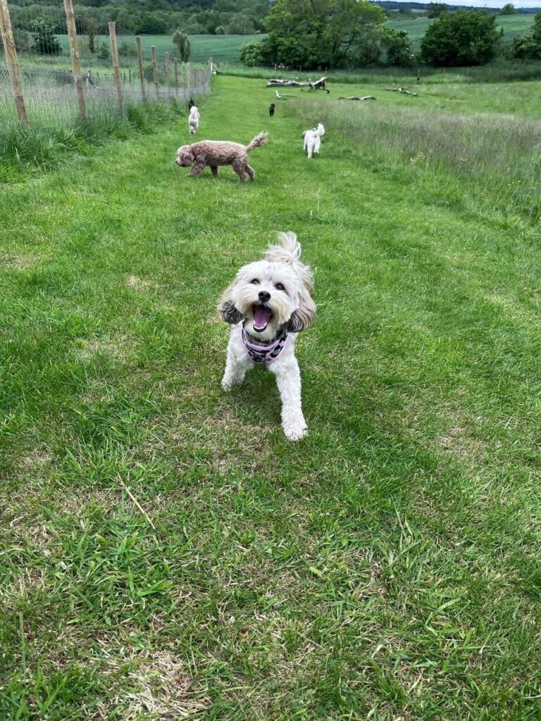 2248 cc6274716c8d2d2fe0dac11420b2afe2 1 768x1024