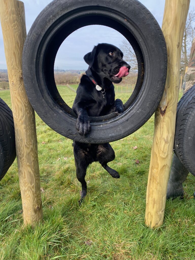 2248 d140785bba90ecad90da373430031138 1 768x1024