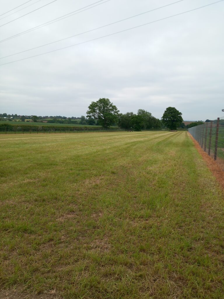 2250 0532829fcb366da3a83df5cee7d14a23 1 768x1024