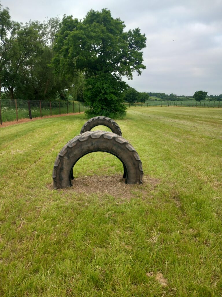 2250 0bcd844d9d147fca78ad878e23284260 1 768x1024