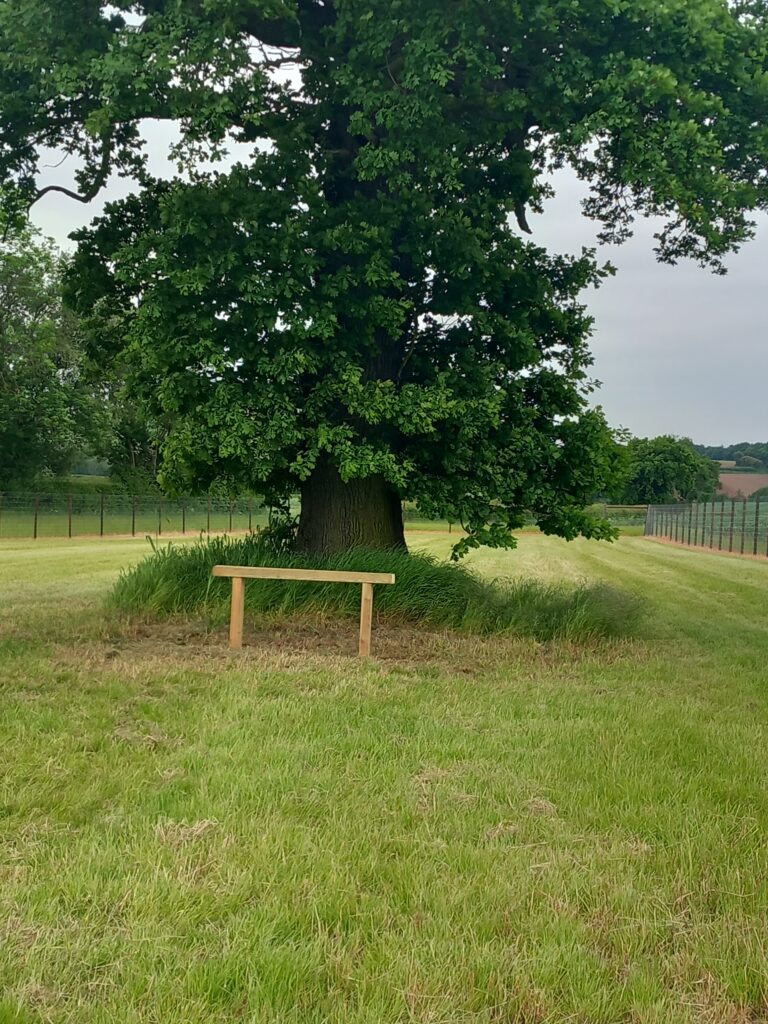 2250 3b40d76771fe126ea1b77ca8cf8a49ae 1 768x1024