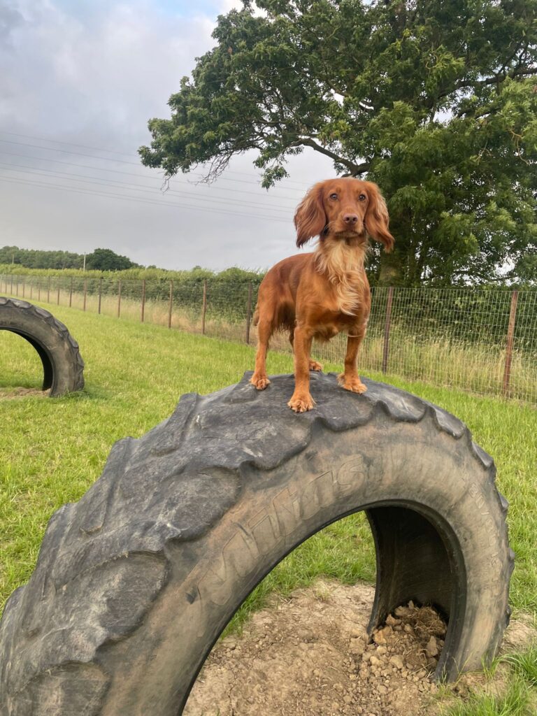 2250 61b7e576f827bf5691df5fbc9bca084c 1 768x1024