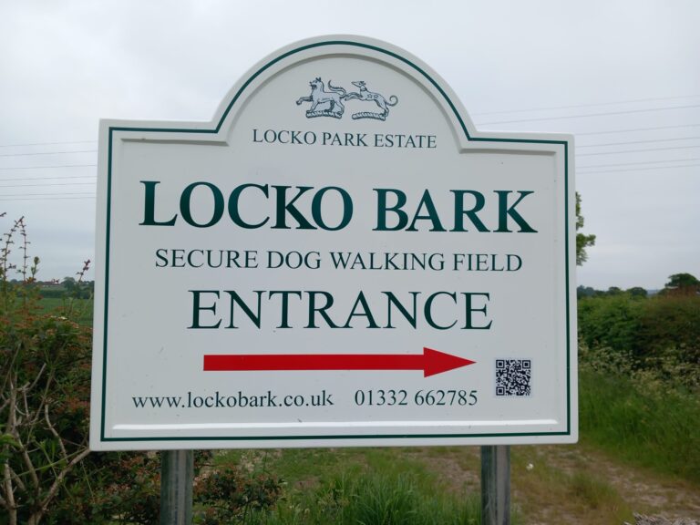 2250 714f8951b702d5fddfe3e984515d1582 1 scaled 768x576