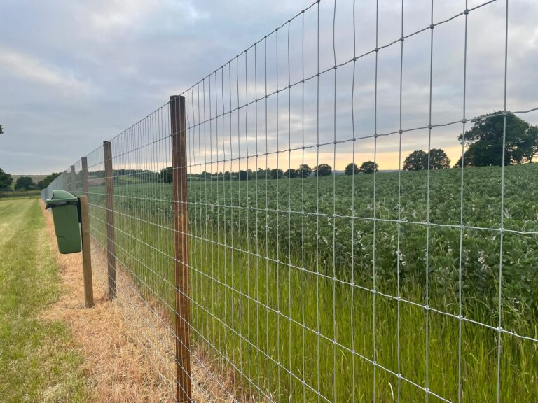 2250 df630ddf6d77e27570e17523a794c3b4 1 768x576