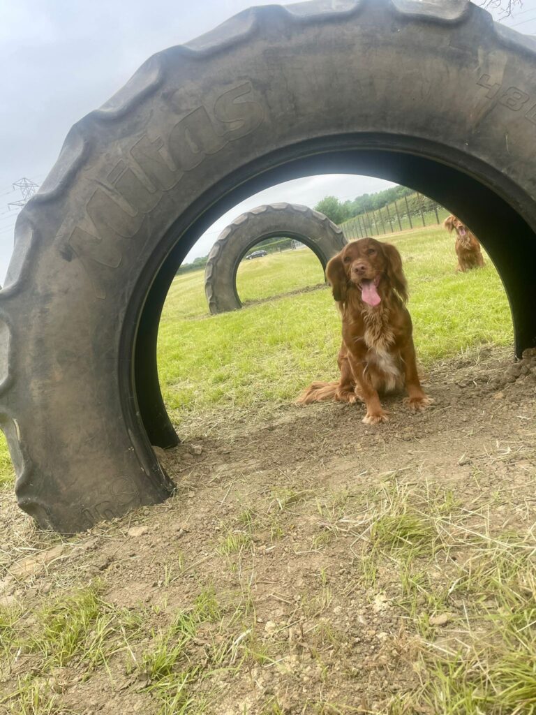 2250 e2f24e56297221909bd66f918a040c7d 1 768x1024