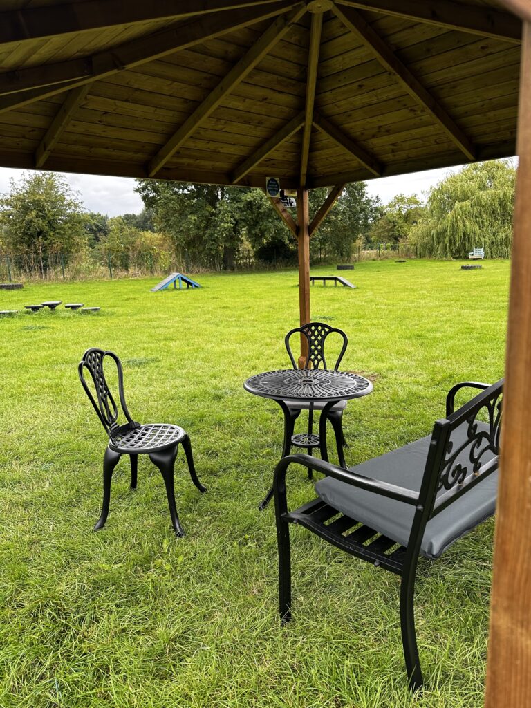 2254 5508e32b333d1e9cd7aa8516f6283317 1 768x1024