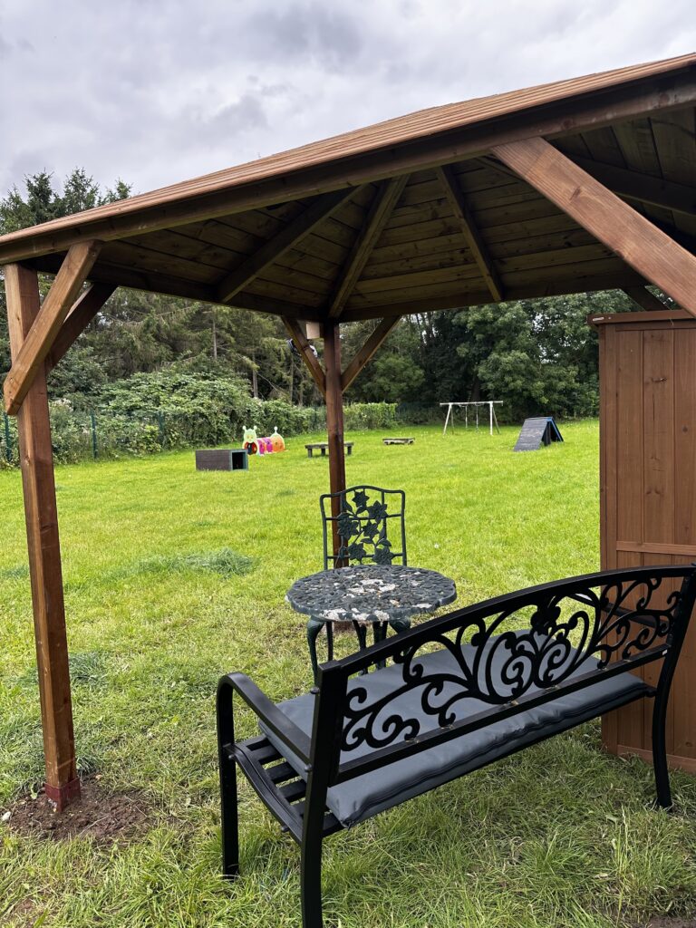 2254 64387db54fe50a44ec518755674d38be 1 768x1024