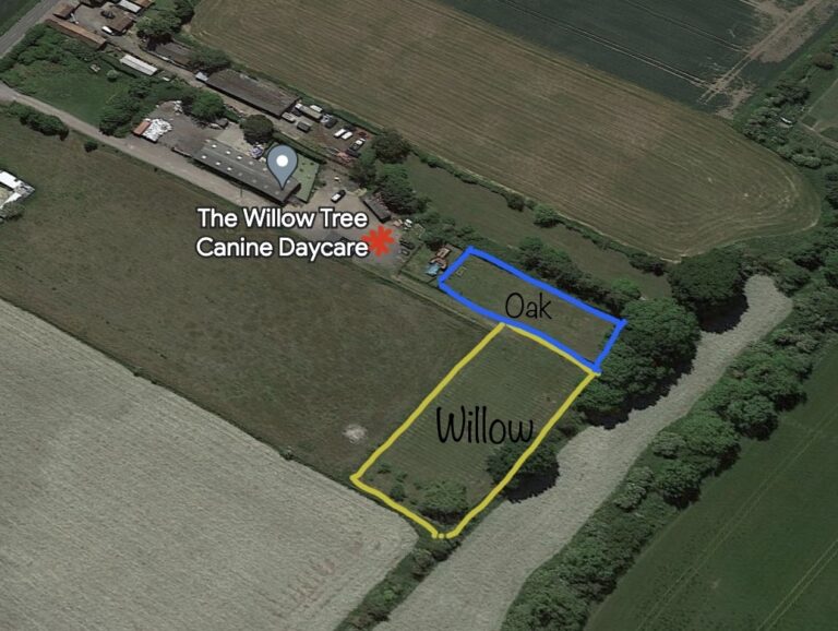 2254 79c8b8d1d660f555a385db90b1544f39 1 768x578