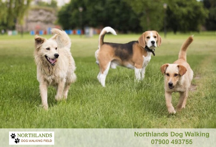 2255 09b6aaaf688533de58d4955d292fc08a 1