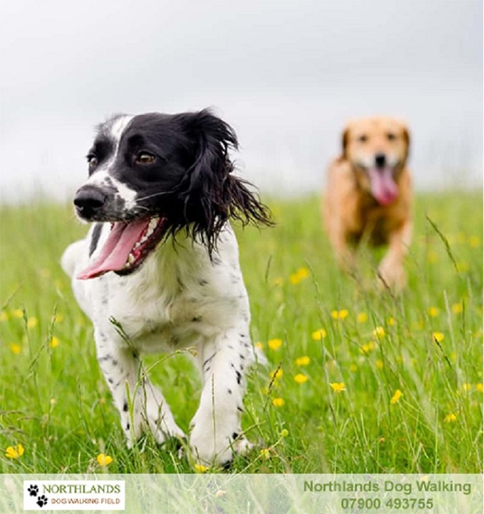 2255 7b3edd048a21aa3f1f2efb05559edebd 1