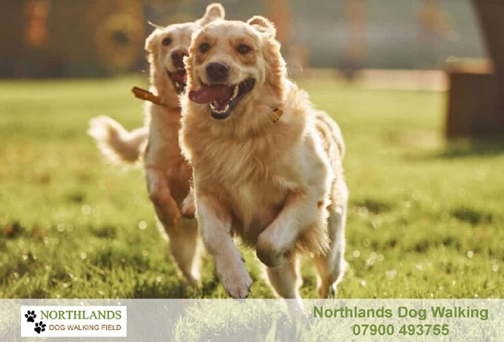 2255 b366895c6ffd2385bced637689317ae5 1