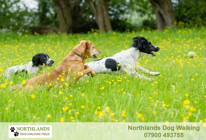 2255 cf0b86d2ce1b34084784c6d25eb45719 1