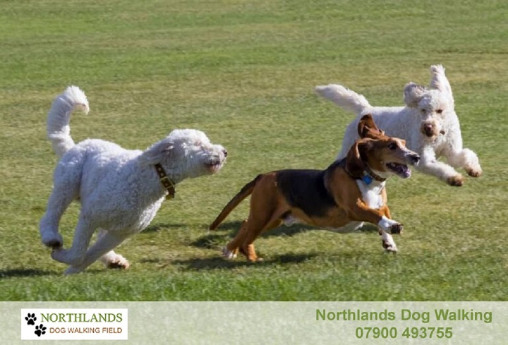 2255 d1eb821adb3fa032412beb635b9786f4 1