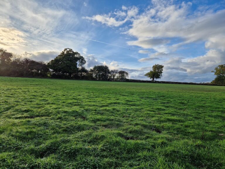 2256 e403b83e99d86673a23fd4d7fdcbfc2f 1 768x576