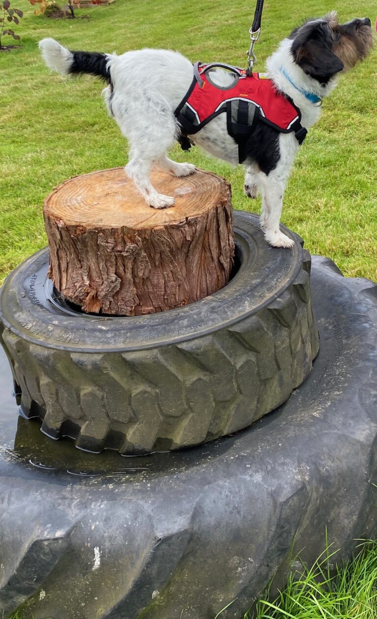 2258 965a81535f18b197ded999194ccbb5a3 1 768x1261