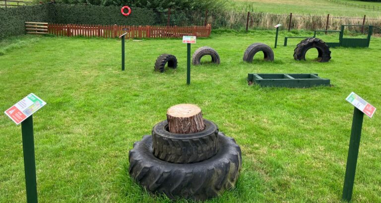 2258 c4ae8608be3d8680031ce1e502421f72 1 768x409