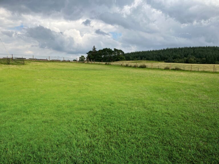 2259 5865e9d84d648ea6abf2735fe9b82878 1 768x576