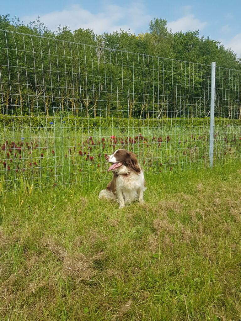 2260 c10b5e23d9ebe3a09a94b00c6e0e0ead 1 768x1024