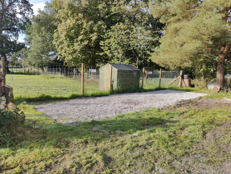 2261 a44c7437493b37a3d4818fa87b6c991f 1 768x578