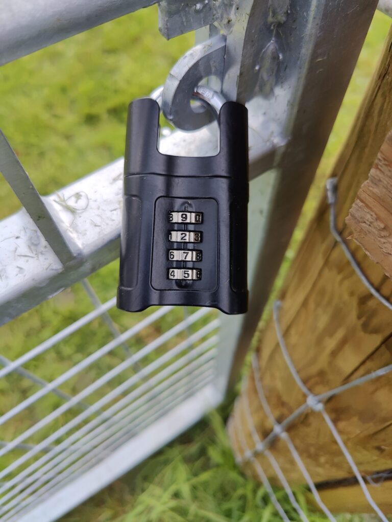 2261 c27b6f264028de9686581f0d7ee20471 1 scaled 768x1021