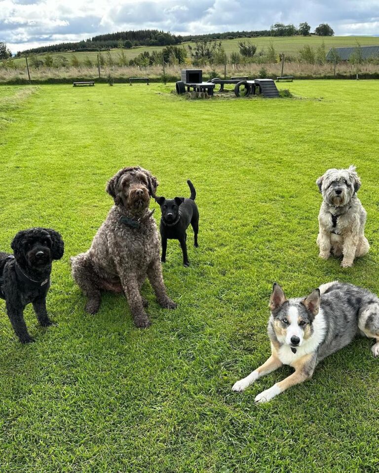 2269 5f80f8897d319ece15915e4d59d6f4ef 1 768x960