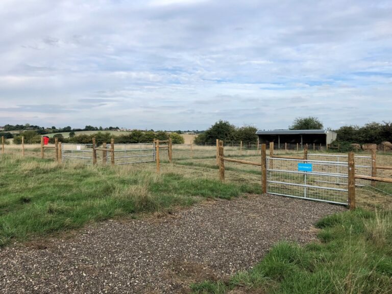 2271 9b6d6994a69ee5b92f3a03654481d15b 1 768x576