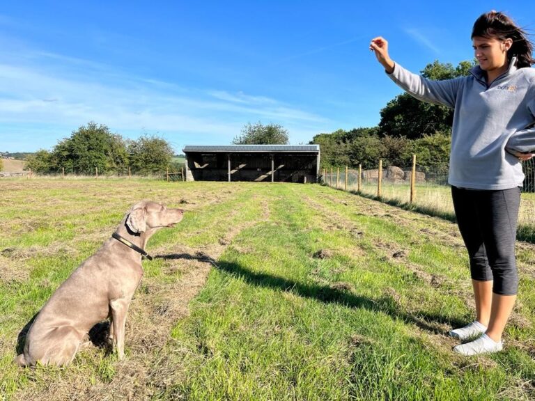 2271 ca4aaed8a7b22edf6131f9e1d12a35d0 1 768x576