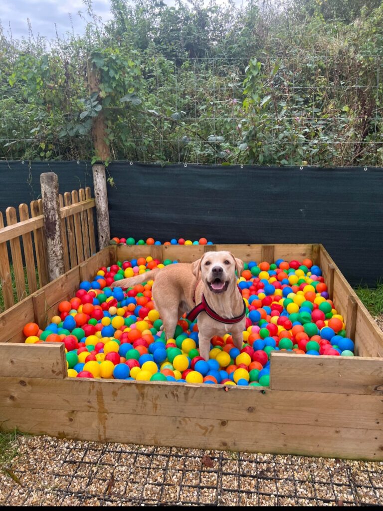 2272 0301d8d31ec4469e92c44b95915b626c 1 768x1024