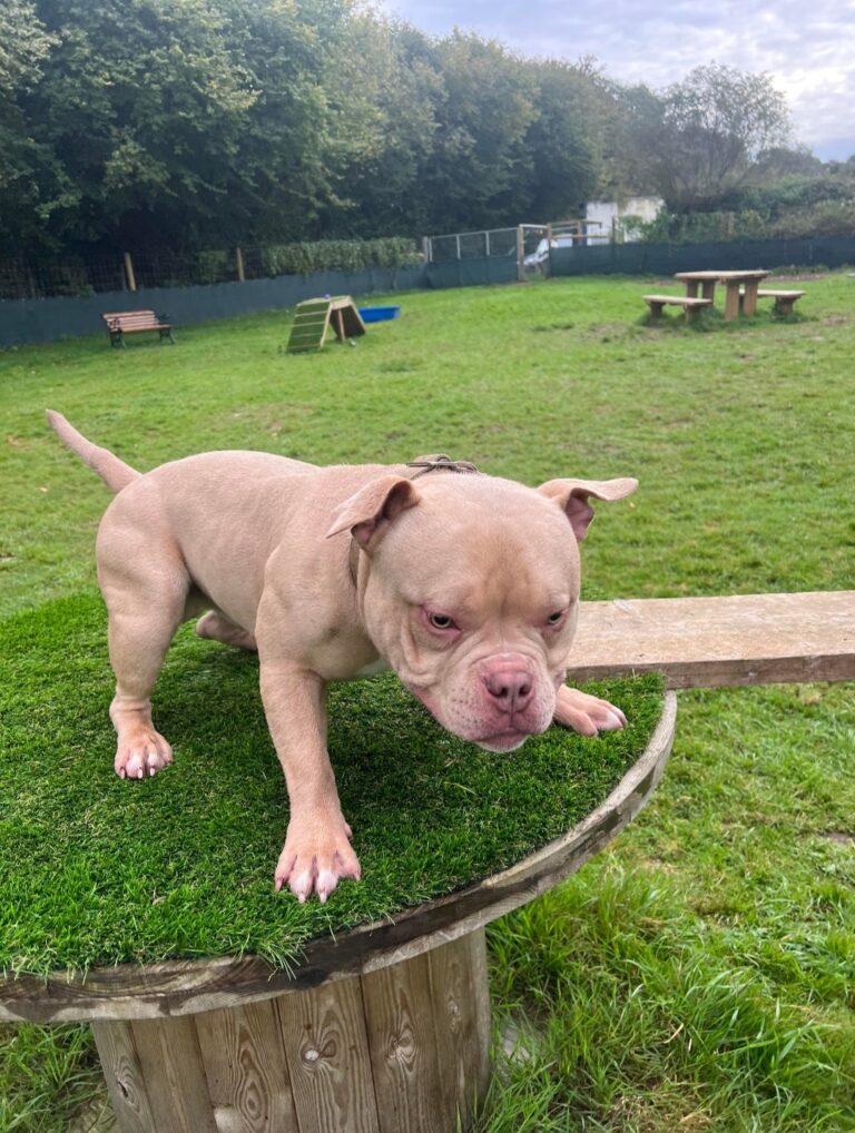 2272 1d9b90c1cf23140447959318f2ba7d7e 1 768x1018