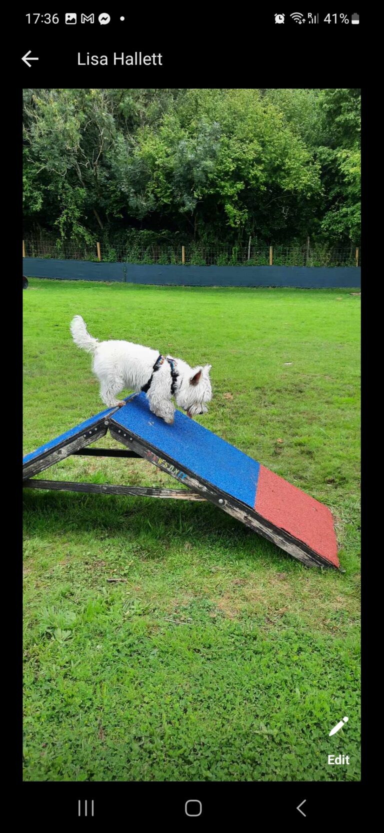 2272 23c14a180ef62630e691aadb14303b94 1 768x1664