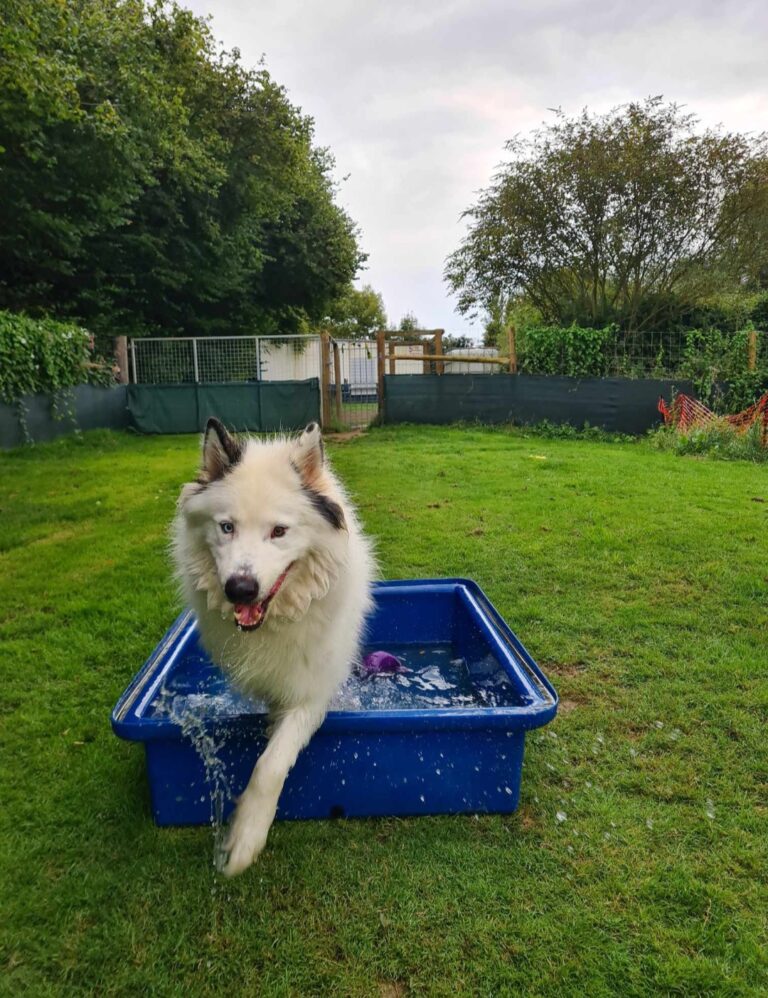 2272 2fc001f848e6d2dae78fe5574e853186 1 768x998