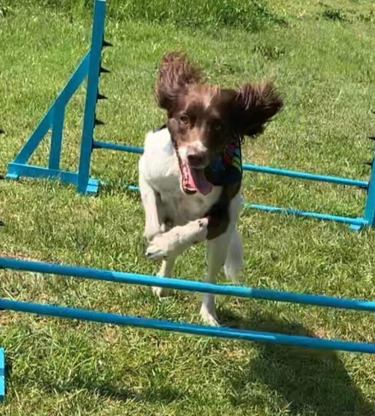 2272 571ae929471f08473f127c4e63a5a237 1 768x851