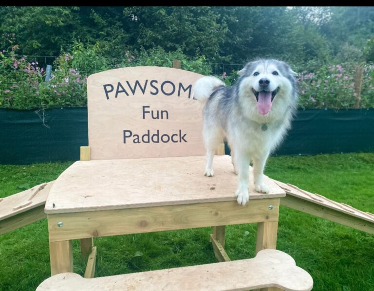 2272 8eca2ff50a4d54bef067e25079d5045c 1 768x598