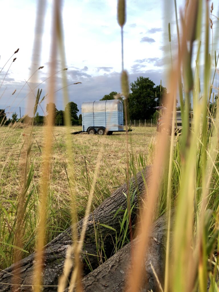 2273 07df9760932d2869f31b4e8b337d2b21 1 768x1024