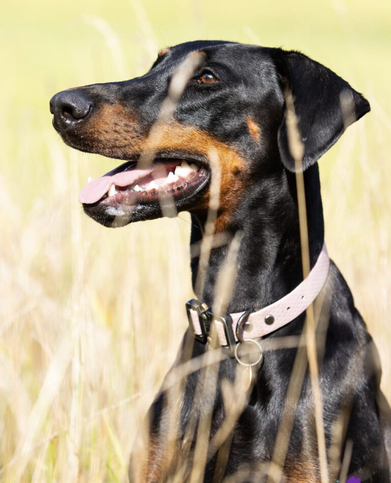 2273 087d9ec0def3a5c4459f0d871991c0a6 1 768x948