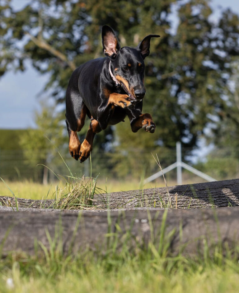 2273 3919e84054e018f12049bb06f66cf0e0 1 768x941