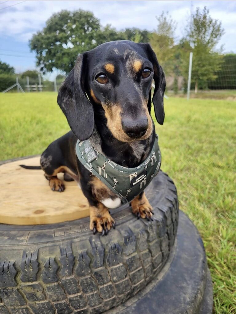 2273 6ba214fbec5ebe1cd219e7bad70b7739 1 768x1021