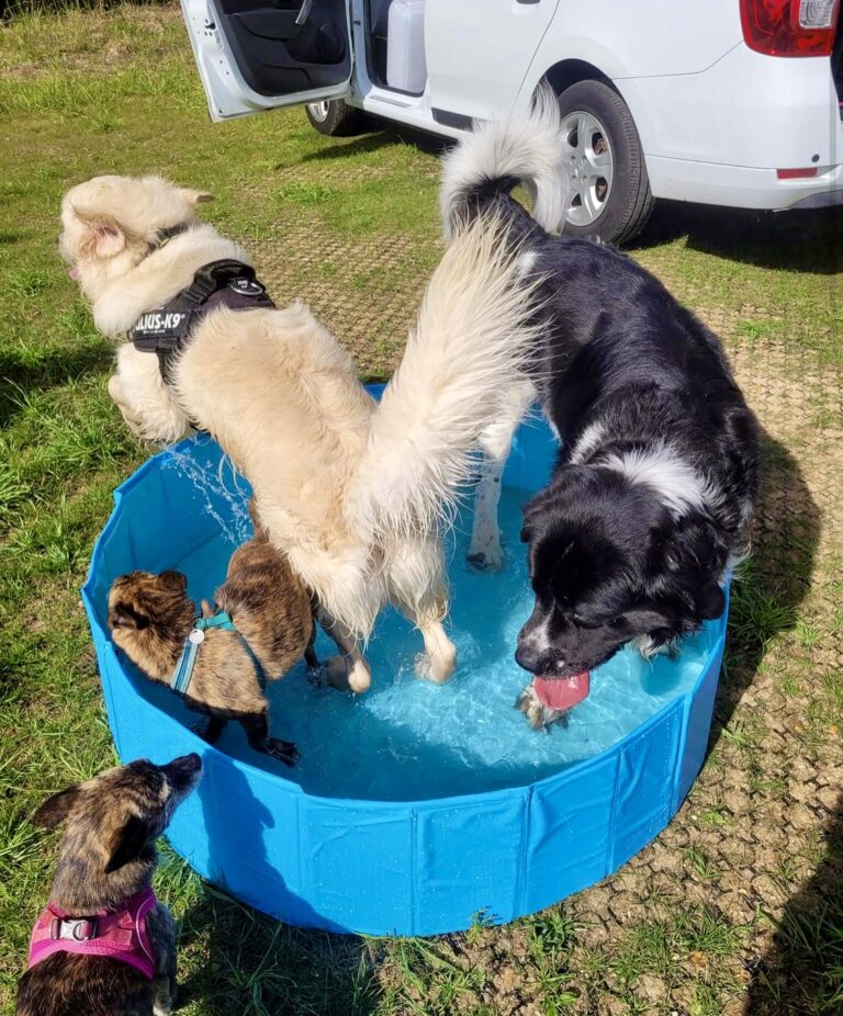 2273 7001d394c1b1e3dec72c8c4015736d49 1 768x926