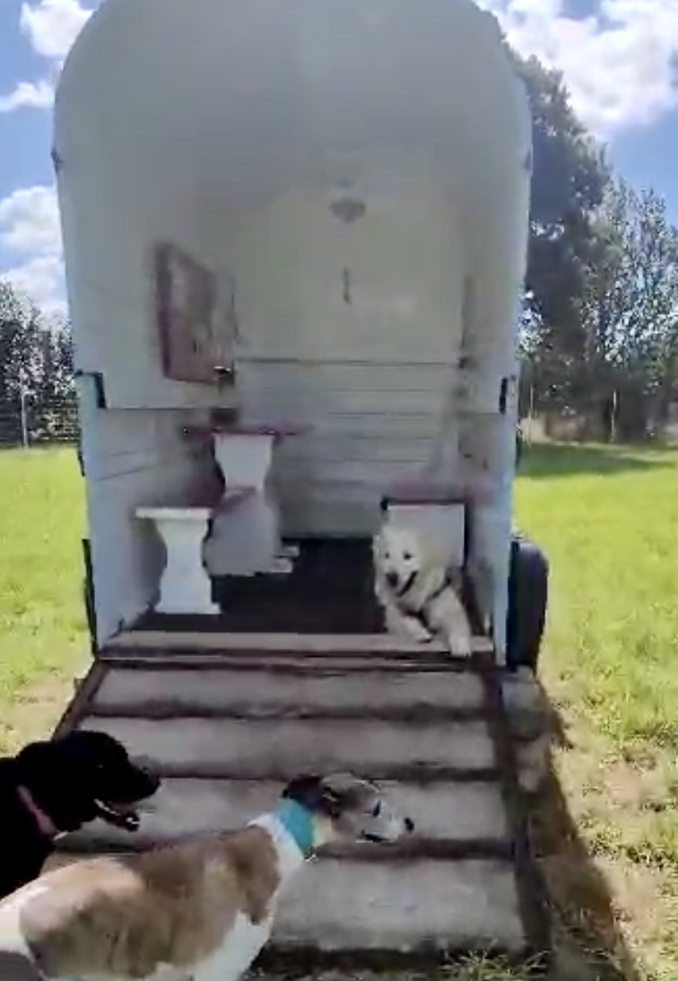 2273 7bd66b117052830b90aa3f4d9f50ae39 1