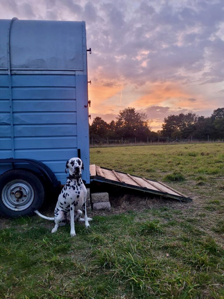 2273 7eda32656006ecabd4c46ea17da0b401 1 768x1024