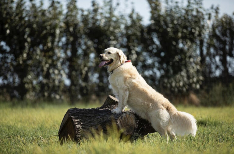 2273 811f63db9e91255209e75d5ee542deb2 1 768x507