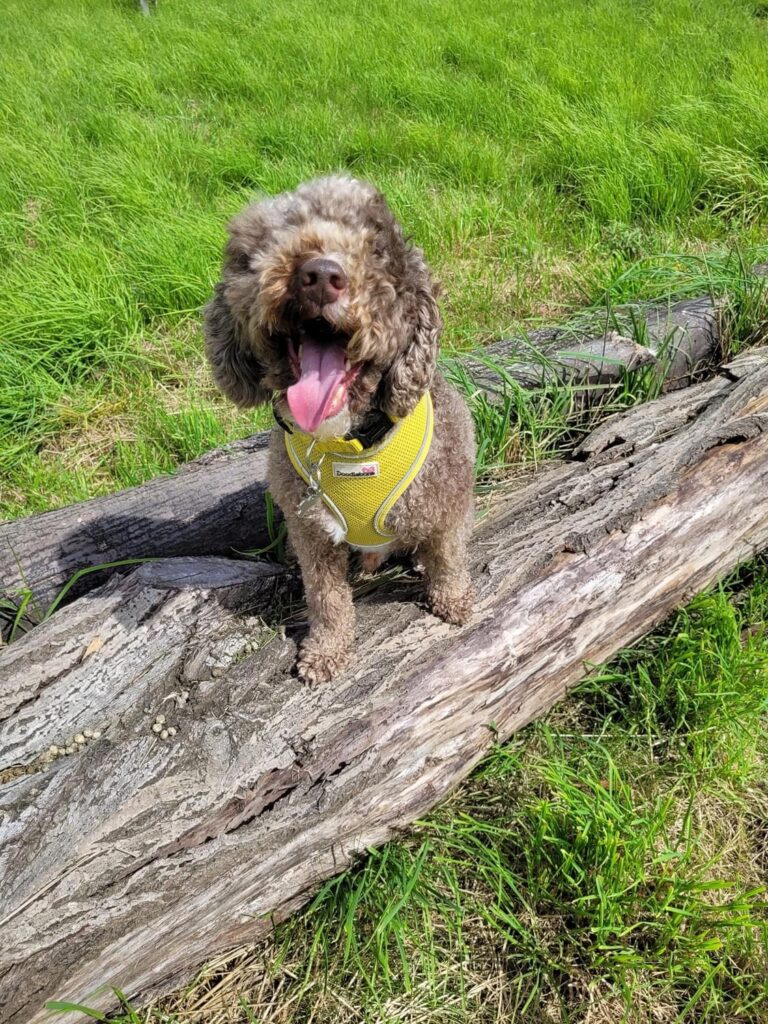 2273 85e63c8d45352f9e88b01480fe528ce5 1 768x1024