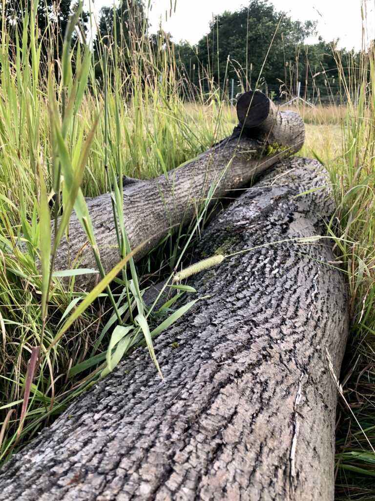 2273 a23e0f624abd54e9216d1f08ab7af693 1 768x1024