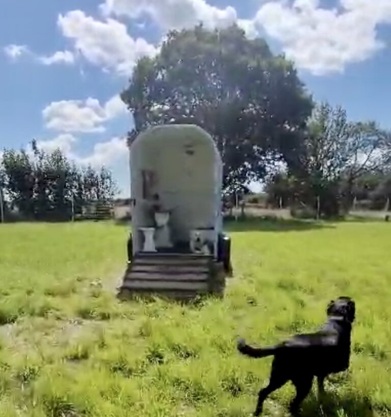 2273 fa07189dae9065333c4e0c16dd83f660 1 768x818