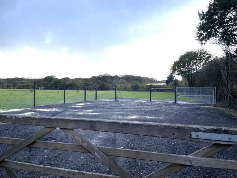 2278 55d6a8f7864c8ef88958cd36e7fd9c3f 1 768x576