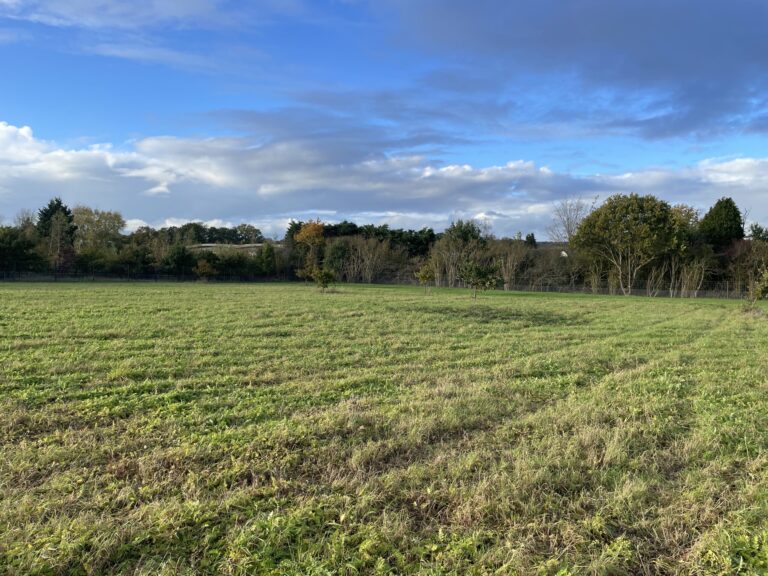 2278 a876c7f89e4c265a747c954e64838ec7 1 scaled 768x576